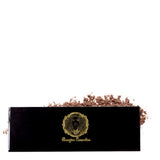 Brow Quint Palette - Bougiee Cosmetics