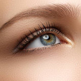 Brunette Brow Fixx Tint - Bougiee Cosmetics