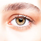 Berlin Eye Shadow-Matte - Bougiee Cosmetics