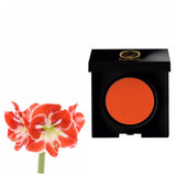 Work It Eye Shadow-Matte - Bougiee Cosmetics