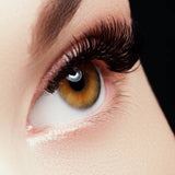 Concealer Pot N3 - Bougiee Cosmetics